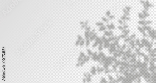 Glare from the sun's rays on the wall. Blurred shadows from leaves and plants in the room. Soft overlay of natural light. Abstract background for product presentation.Natural light layout.