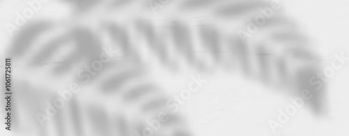 Glare from the sun's rays on the wall. Blurred shadows from leaves and plants in the room. Soft overlay of natural light. Abstract background for product presentation.Natural light layout.