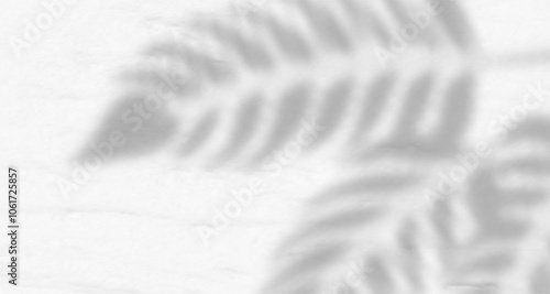 Glare from the sun's rays on the wall. Blurred shadows from leaves and plants in the room. Soft overlay of natural light. Abstract background for product presentation.Natural light layout.