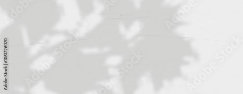 Glare from the sun's rays on the wall. Blurred shadows from leaves and plants in the room. Soft overlay of natural light. Abstract background for product presentation.Natural light layout.