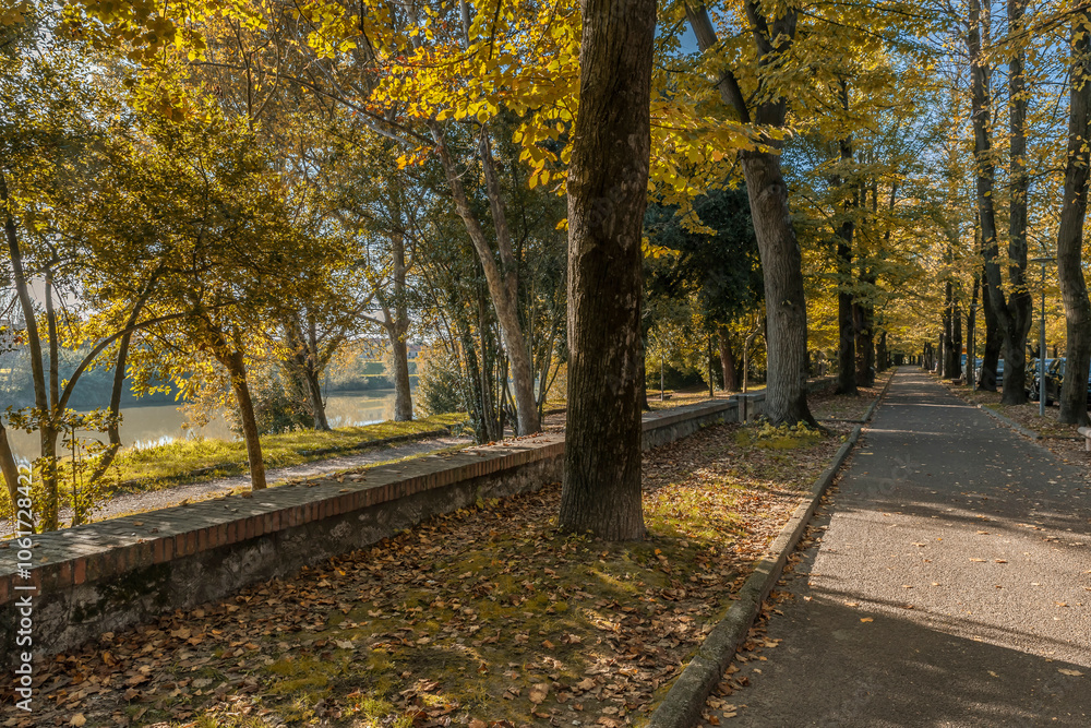 The long pedestrian path of Viale delle Piagge avenue in Pisa, Italy, in the autumn season The long pedestrian path of Viale delle Piagge avenue in Pisa, Italy, in the autumn season