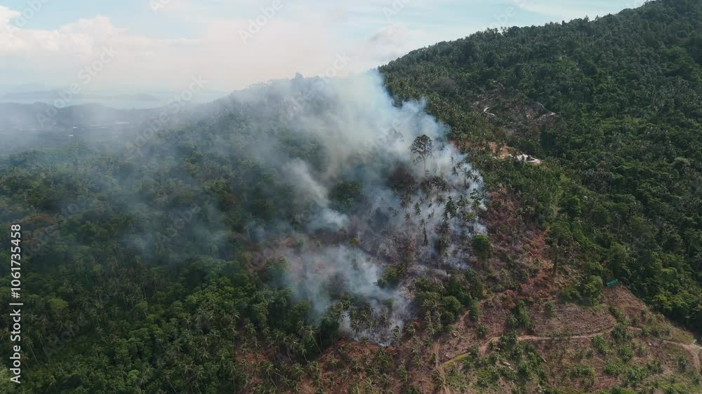 Tragic loss of tropical ecosystems to fire aerial view emotional and ecological toll tropical forest succumb to flames. Forest fire pain of nature natural landscapes wildlife fires ravage rainforest. Tragic loss of tropical ecosystems to fire aerial view emotional and ecological toll tropical forest succumb to flames. Forest fire pain of nature natural landscapes wildlife fires ravage rainforest.