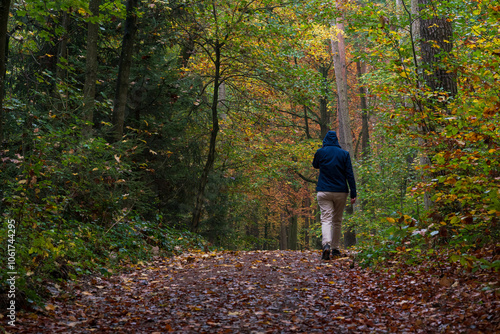 A walk though the Bavarian forest during autumn season when the leaves change to beautiful colors photo