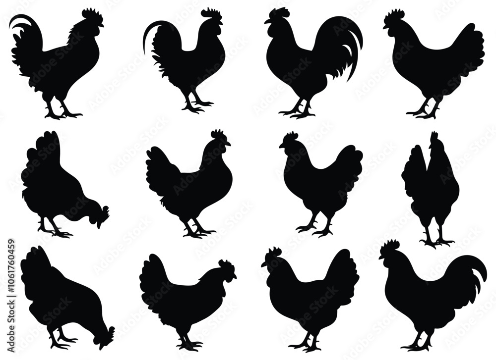 Fototapeta premium Set of chicken silhouettes collection of farm animals. isolated vector on white background