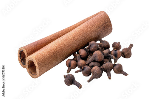 Cinnamon Sticks and Cloves on White Background