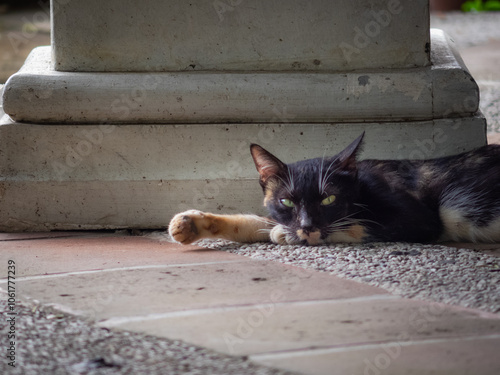 フィリピンのマニラで撮影した写真 photo