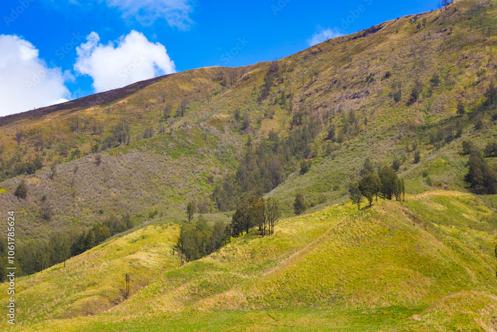 Obraz premium Landscape of rolling hills with vibrant green grass under a blue sky
