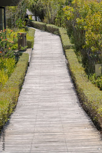 weathered wooden slat footpath or walkway bordered by outdoor solar lighting 