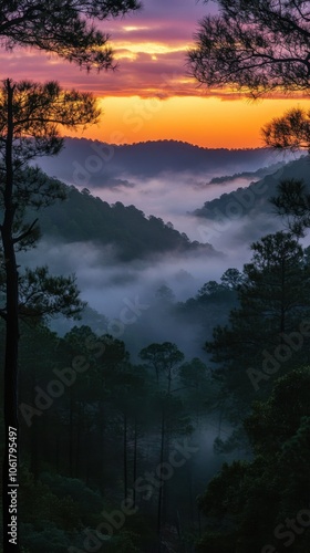 A breathtaking view at dawn over the misty hills of Talladega National Forest surrounded by towering trees and vibrant sunrise colors photo