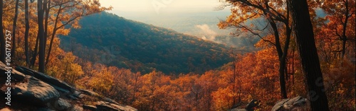 Breathtaking autumn vista along the Appalachian Trail revealing vibrant foliage and distant mountains in the morning light