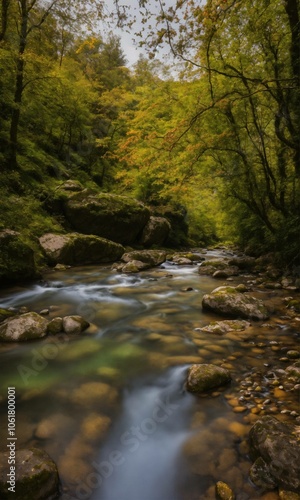 river in the forest