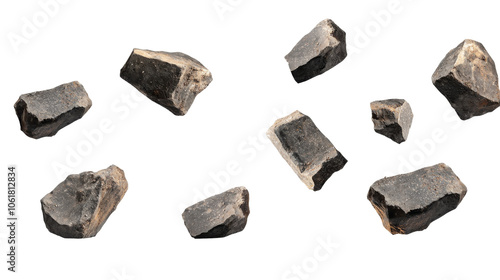 A collection of dark, rough rocks displayed against a white background, showcasing their unique textures and shapes. photo