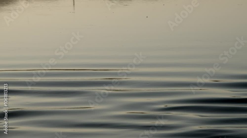 Gentle moving river water ripples