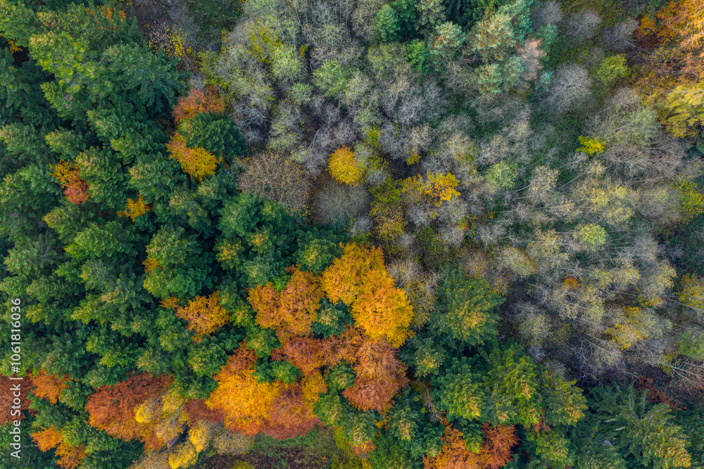 Naklejka premium Jesień w Dolinie Popradu Muszyna górski widok