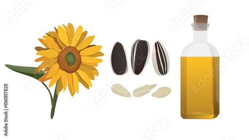 Set sunflower oil, flower, seeds and cereals. Sunflower seed oil in a bottle.Vector illustration with sunflowers and seed oil in a glass bottle.