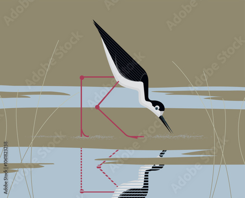Black-nacked stilt