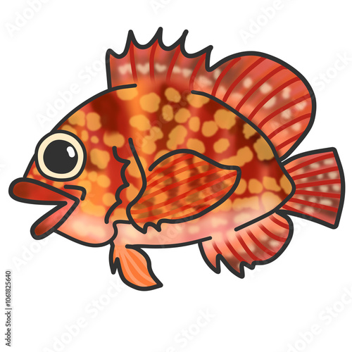 カサゴという赤い海水魚のイラスト
