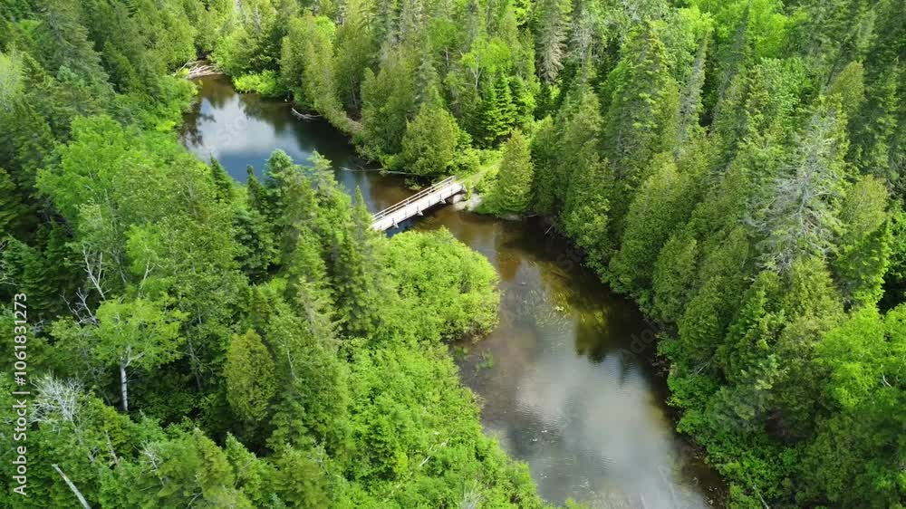 Aerial view of a footbridge crossing a small, calm river in a dense, green forest. Towago Lake, Sainte-Paule Aerial view of a footbridge crossing a small, calm river in a dense, green forest. Towago Lake, Sainte-Paule