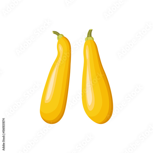 Yellow straightneck squash isolated in white