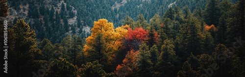 Autumn colors illuminate the Los Alamos forest with vibrant hues of red, orange, and yellow in a serene landscape photo