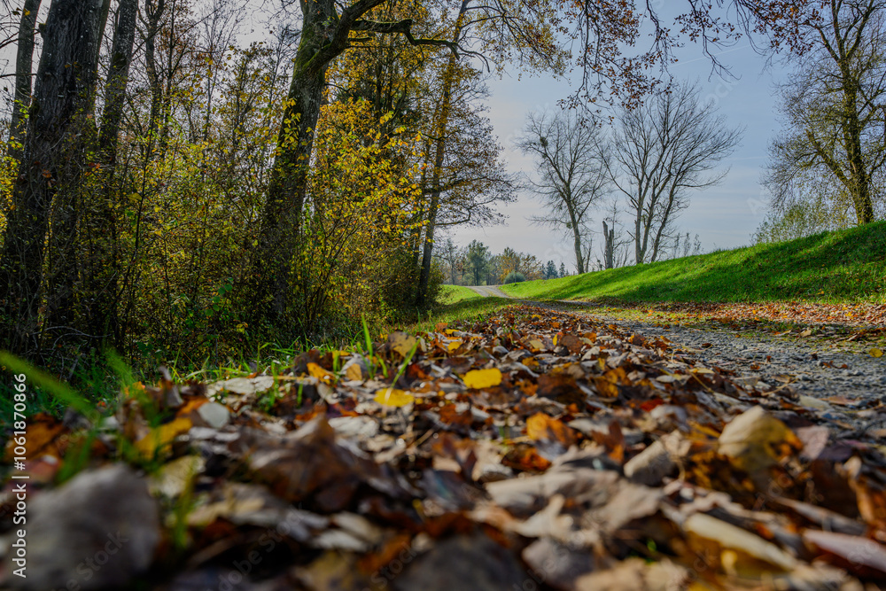 Herbst in den Isarauen Herbst in den Isarauen
