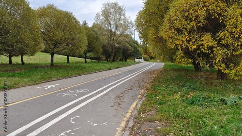 Along the grassy lawns and the willows growing on them, there is a tiled sidewalk and an asphalted bike path with markings. There are lampposts and a bridge over the river ahead. Cloudy autumn weather