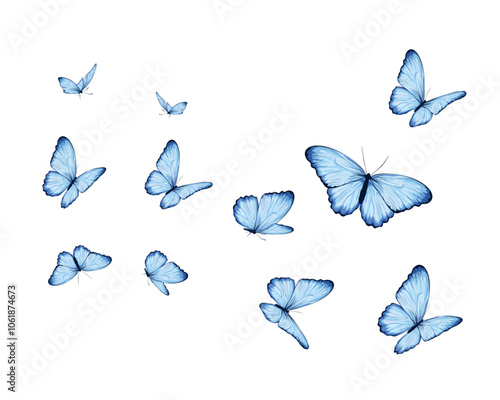 set of butterflies blue vector