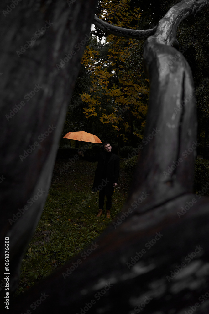Obraz premium A European man in a black coat and an umbrella walks in the park at dusk in autumn