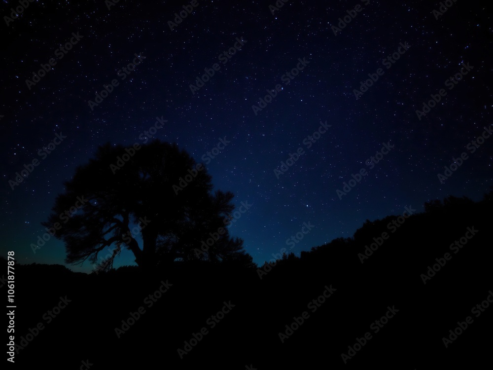 Night sky panorama with silhouetted tree and dense forest under starry sky, forest, romantic Night sky panorama with silhouetted tree and dense forest under starry sky, forest, romantic