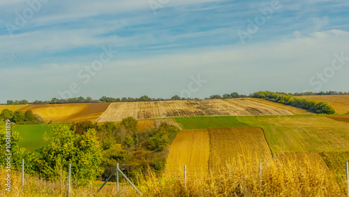 Agricultural fields with young green shoots of grain crops and plowed field without sowing. With trees in the background on the hills. Fallow concept. Alternation.