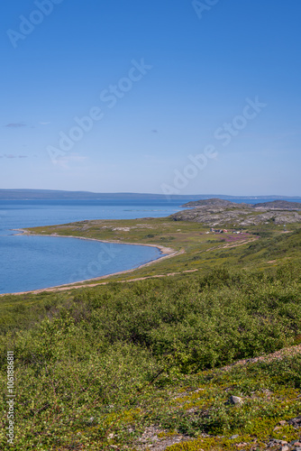 Wallpaper Mural The desert stony shore of the small gulf of Barents sea. Short polar summer in Finnmark, Norway Torontodigital.ca