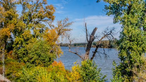 Agricultural fields with young green shoots of grain crops and plowed field without sowing. With trees in the background on the hills. Fallow concept. Alternation.