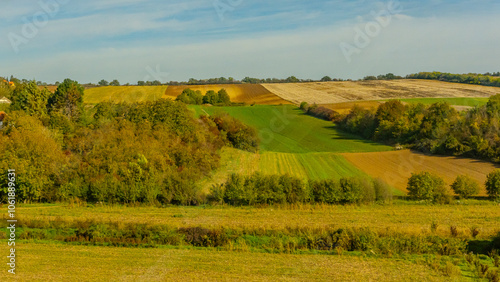 Agricultural fields with young green shoots of grain crops and plowed field without sowing. With trees in the background on the hills. Fallow concept. Alternation.