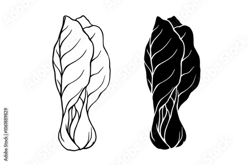 Line sketch, stamp, silhouette of Chinese cabbage vegetables. Vector graphics.