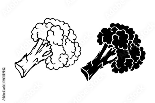 Line sketch, stamp, silhouette of vegetables cabbage broccoli. Vector graphics.