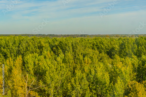 Agricultural fields with young green shoots of grain crops and plowed field without sowing. With trees in the background on the hills. Fallow concept. Alternation.