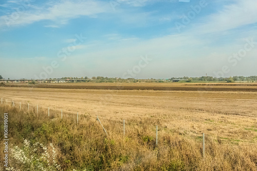 Agricultural fields with young green shoots of grain crops and plowed field without sowing. With trees in the background on the hills. Fallow concept. Alternation.