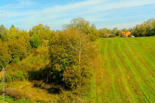 Agricultural fields with young green shoots of grain crops and plowed field without sowing. With trees in the background on the hills. Fallow concept. Alternation.