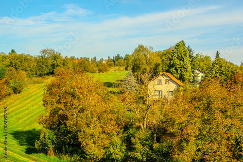 Agricultural fields with young green shoots of grain crops and plowed field without sowing. With trees in the background on the hills. Fallow concept. Alternation.