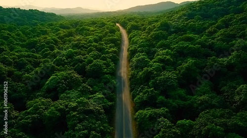 A serene road winding through lush green forests under a golden sky.