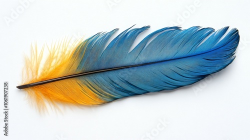 Close-up of a large blue feather with vibrant yellow highlights and detailed texture on a plain white background