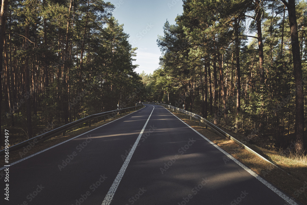 Fototapeta premium Country road with curves in spring - Landstraße - Allee - Kurve - Straße - Hügel - Brandenburg - Germany - Horizon - Road - Empty - Asphalt - Summer - Street - Landscape - Route - Country