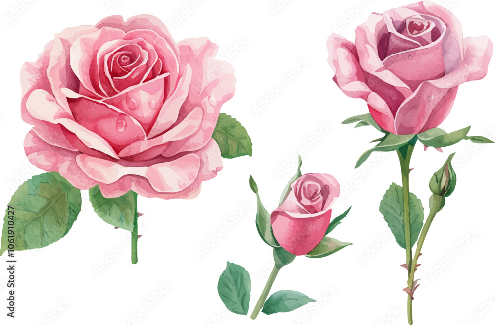 Watercolor pink rose flower and leaf bouquet clipart collection Watercolor pink rose flower and leaf bouquet clipart collection