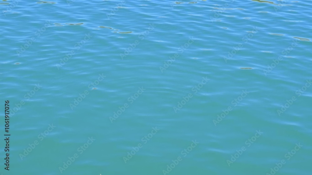 Crystal clear water in a tranquil lake reflecting the surrounding greenery, serene, reflection Crystal clear water in a tranquil lake reflecting the surrounding greenery, serene, reflection