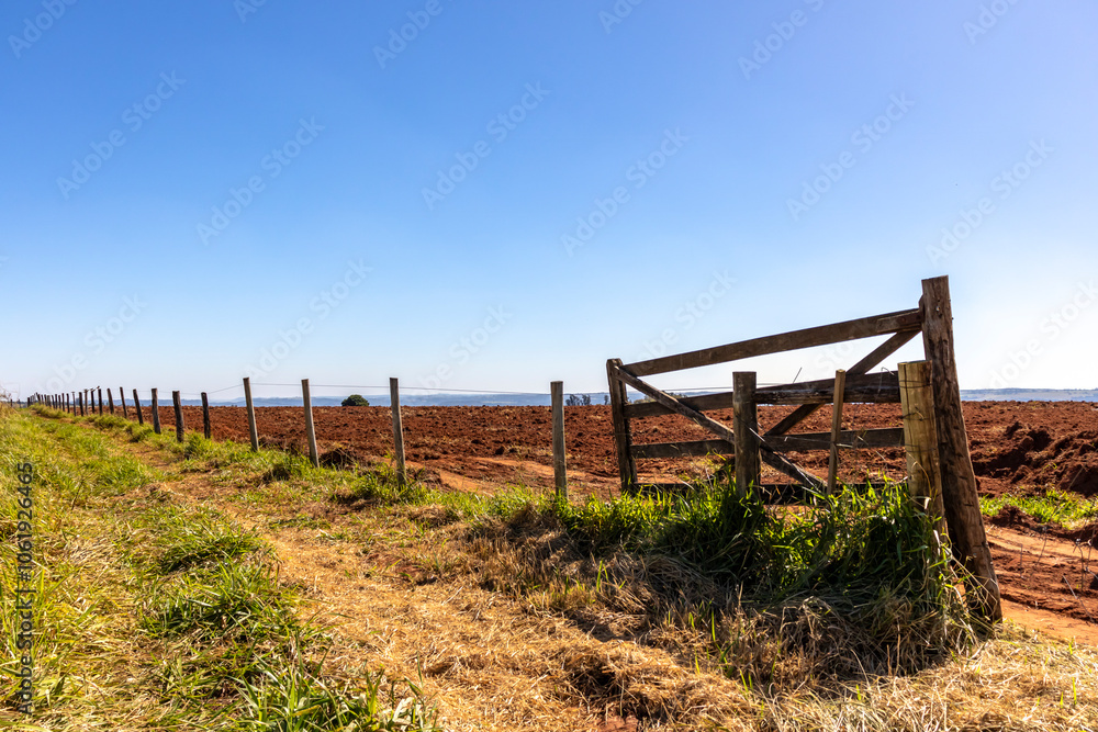 Wooden gate with sunflower plantation in the background, under blue sky
