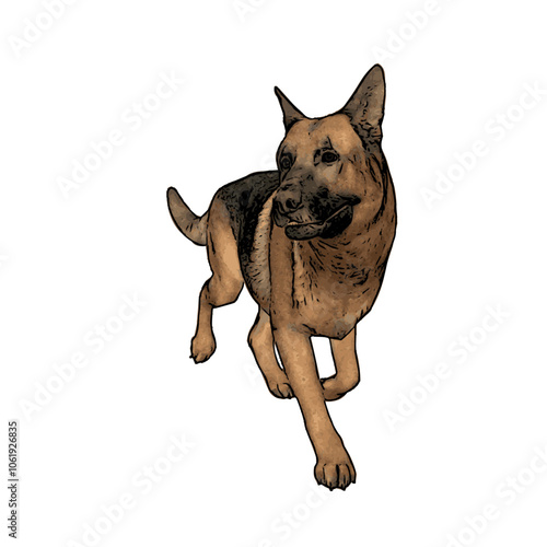 German Shepard dog vector animal ilustration isolated template 