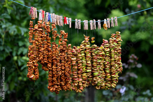 Close-up of apple slices drying on a clothesline, secured with colorful clothespins, demonstrating a natural outdoor food preservation method photo