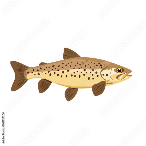 brown trout fish vector illustration