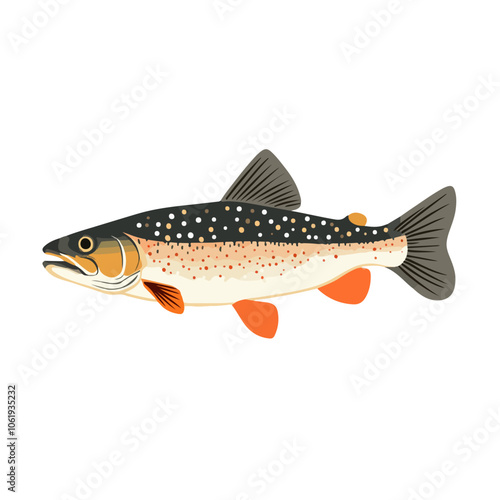 brown trout fish vector illustration