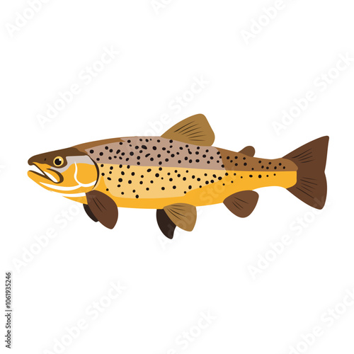 brown trout fish vector illustration